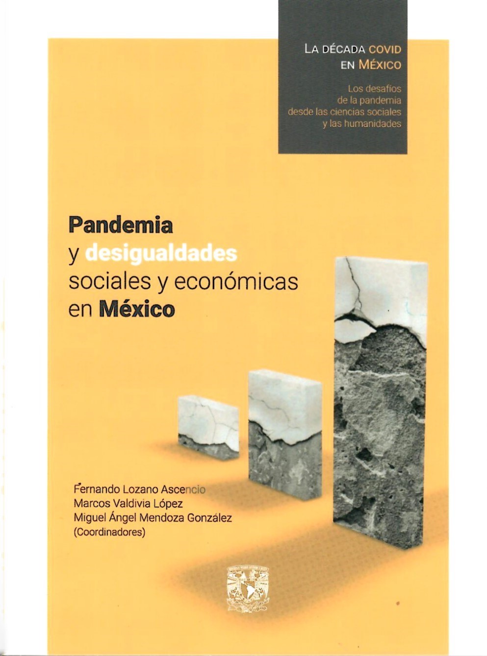 Pandemia y desigualdades sociales y económicas en México